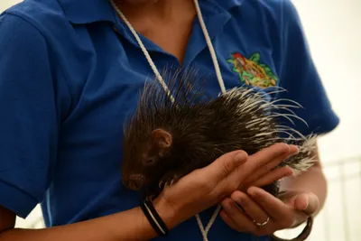 DSC_2301 (Large).JPG